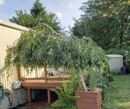 Riverbend Mobile Home Community