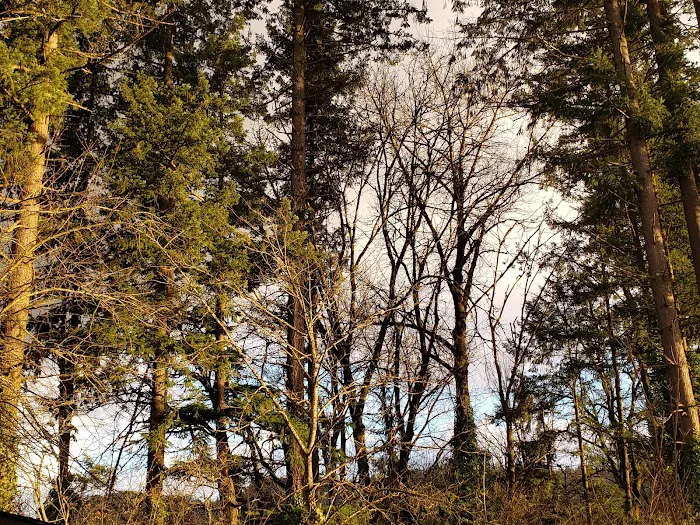 Riverbend Mobile Home Community Picture 5