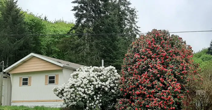 Forest Park Mobile Village Picture 3