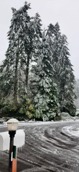 Forest Park Mobile Village Picture 1