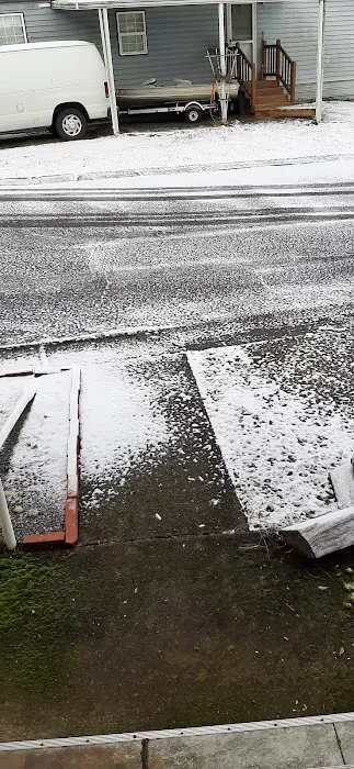 Forest Park Mobile Village Picture 6