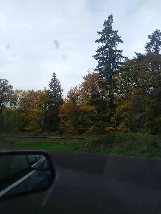 Forest Park Mobile Village Picture 8