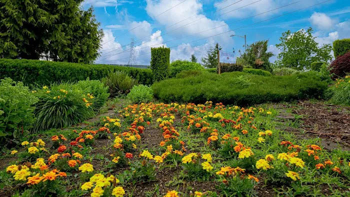 Country Village Estates Picture 4