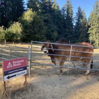 Sunrise Village, (HOME) In The Lower Park.. ico