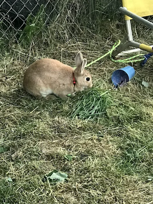 Van Ridge Mobile Home Park Picture 3