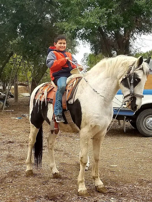 Van Ridge Mobile Home Park Picture 10