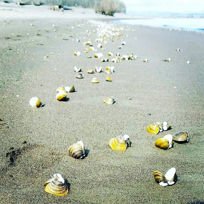 Reeder Beach RV Park & Country Store Picture 5