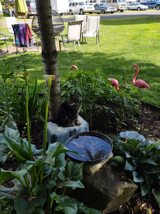 Island Cove RV Park Picture 7