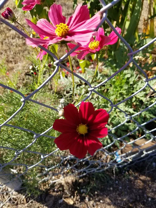 Canby Regency Picture 1