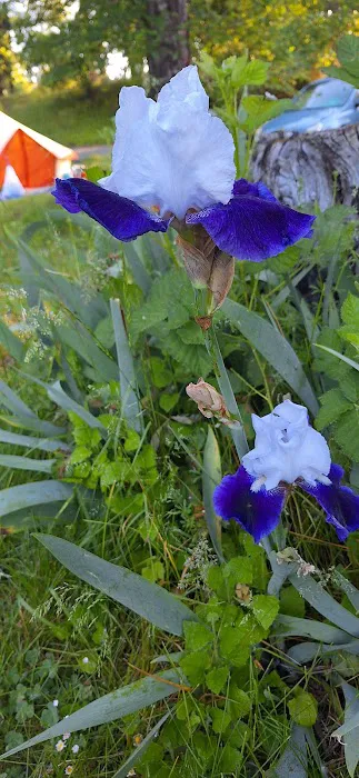 Elks RV Park Picture 3