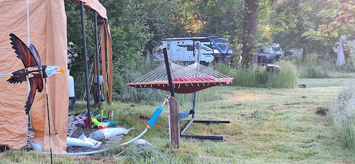 Elks RV Park Picture 5