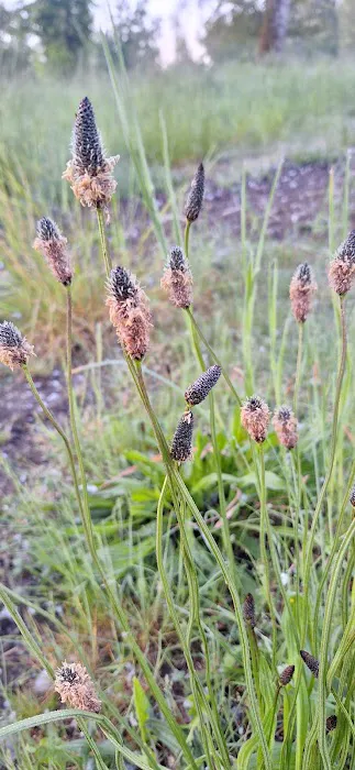 Elks RV Park Picture 4