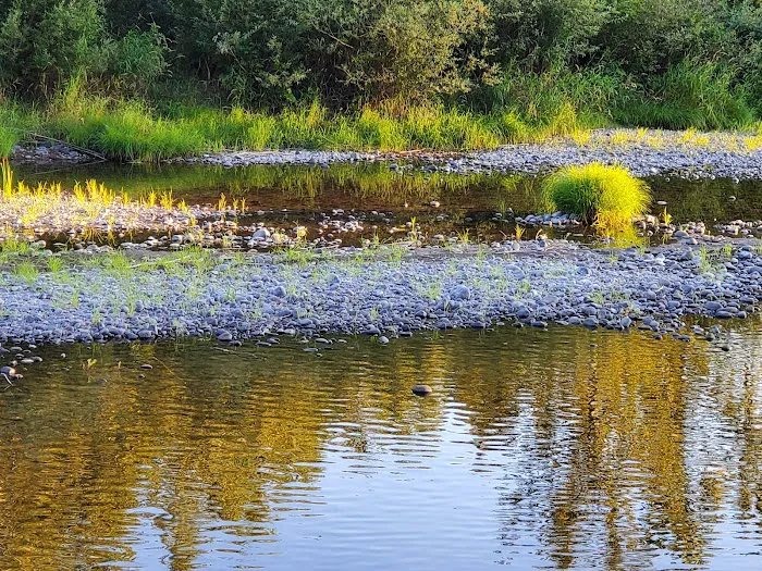 Elks RV Park Picture 10