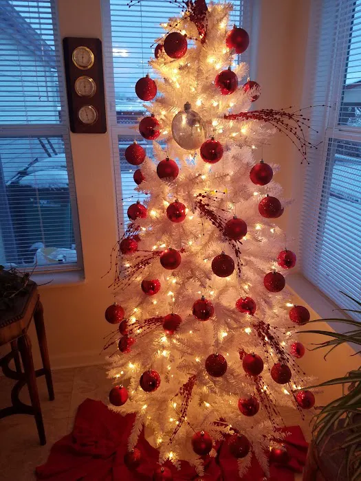 Springlake Community Inc Picture 1