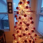 Springlake Community Inc