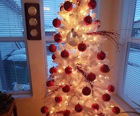 Springlake Community Inc