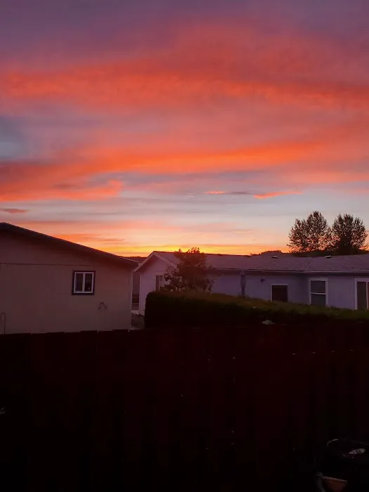 Springlake Community Inc Picture 7