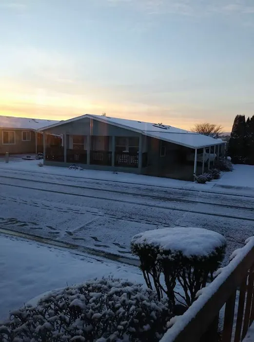 Springlake Community Inc Picture 10