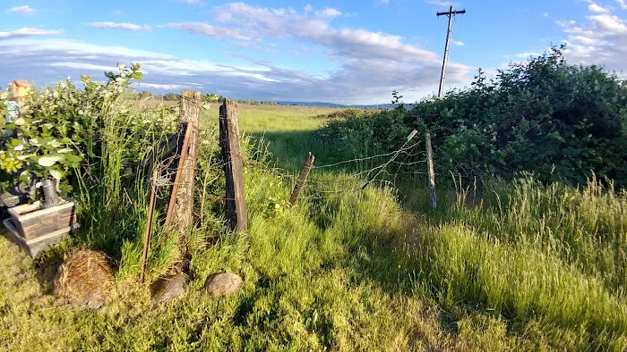 Tamarack Mobile Home Park Picture 2