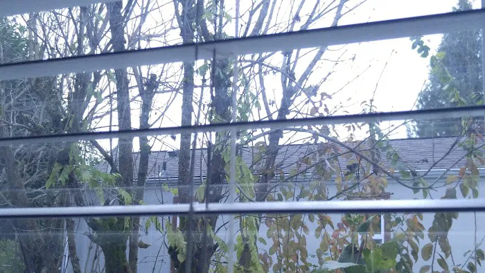 Tamarack Mobile Home Park Picture 4