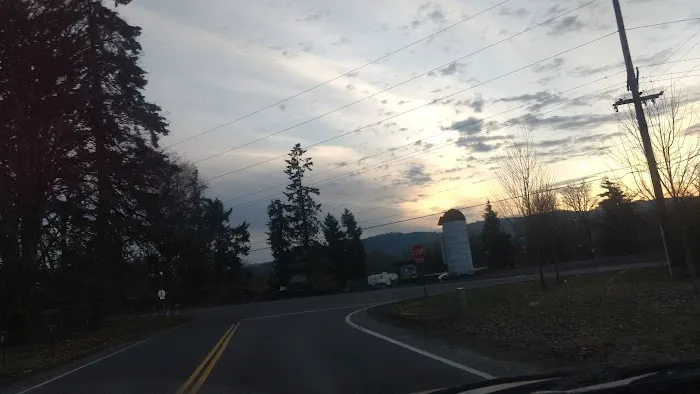 Scappoose RV Park Picture 8