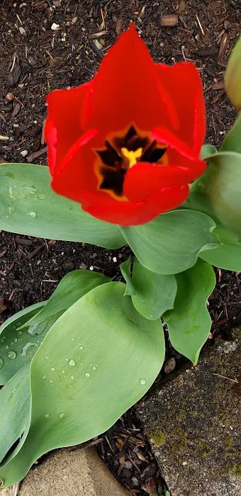 Elmwood MHC Picture 3