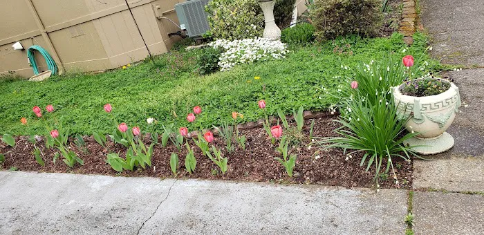 Elmwood MHC Picture 4