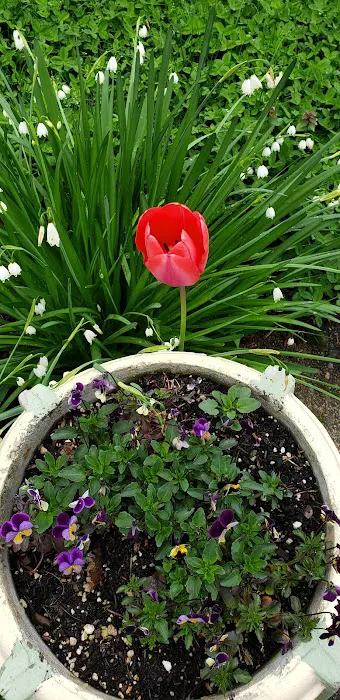 Elmwood MHC Picture 7