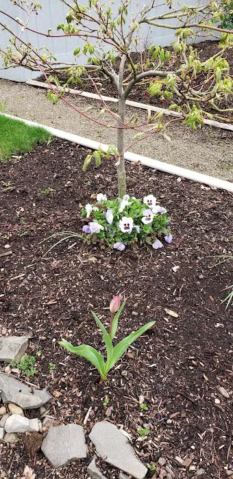 Elmwood MHC Picture 6