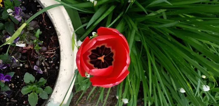 Elmwood MHC Picture 5