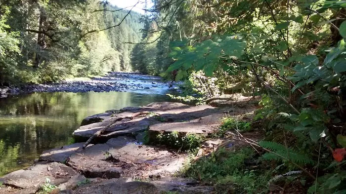 Riverside RV Park Picture 2