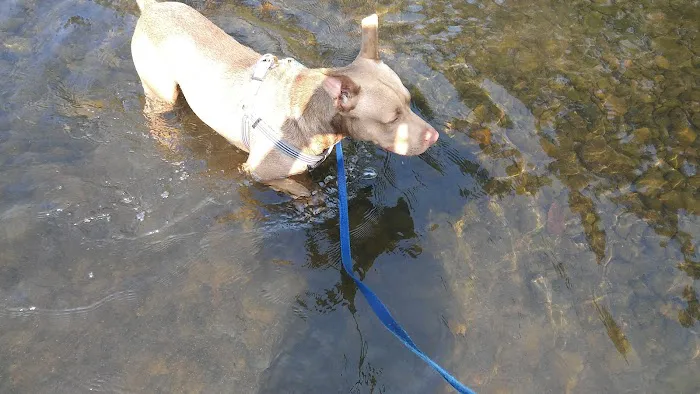 Riverside RV Park Picture 5