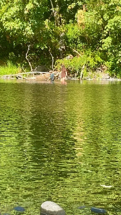 Riverside RV Park Picture 8