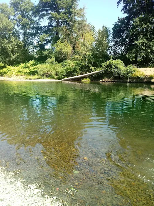 Riverside RV Park Picture 9