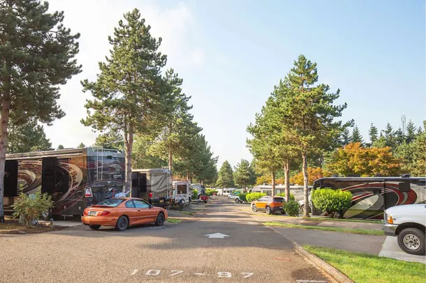 Sun Outdoors Portland South Picture 6