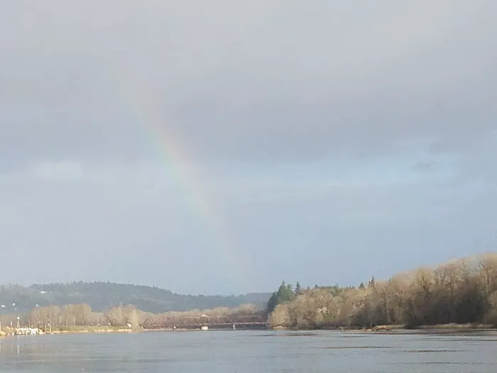 Stevens Moorage RV Park Camp Picture 3