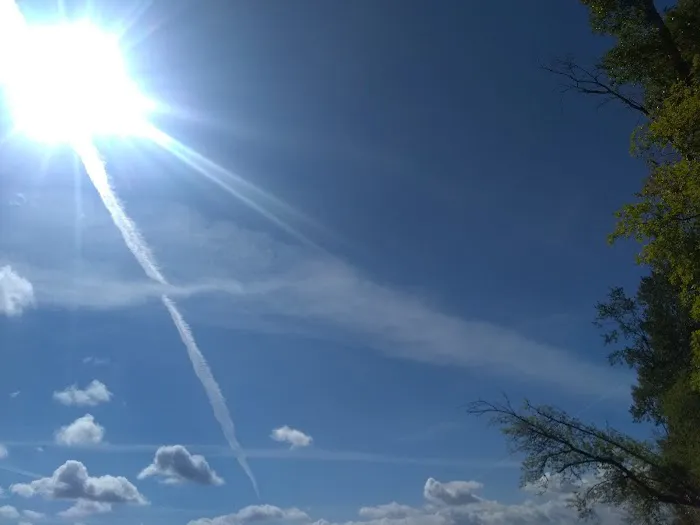 Stevens Moorage RV Park Camp Picture 9