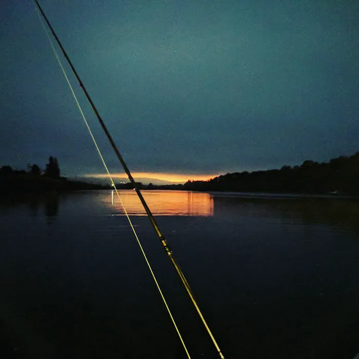 Stevens Moorage RV Park Camp Picture 10