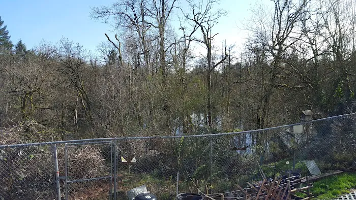 Crestwood Manufactured Home Picture 1