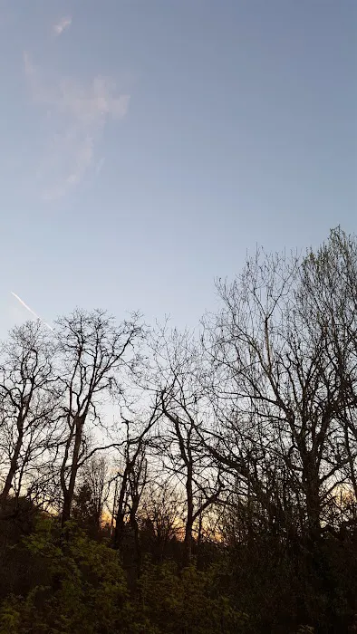 Crestwood Manufactured Home Picture 4