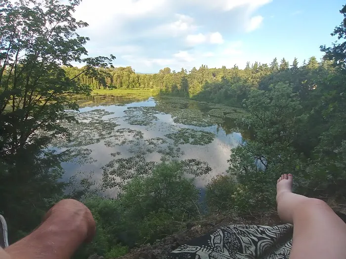 Crestwood Manufactured Home Picture 5