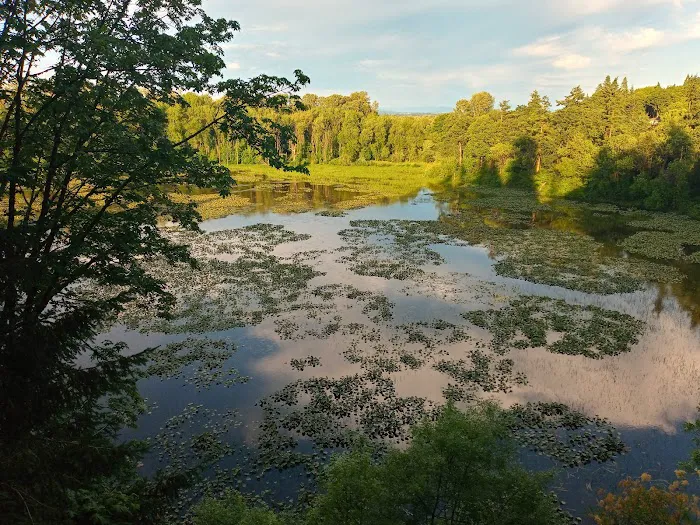 Crestwood Manufactured Home Picture 6