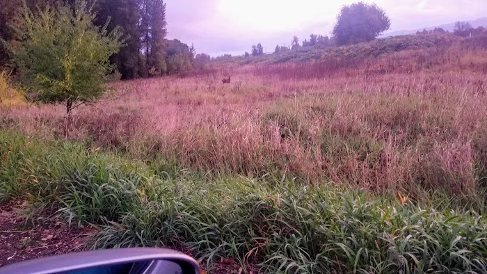 Crestwood Manufactured Home Picture 10