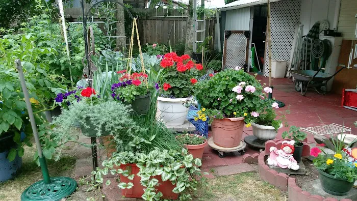 Oaks Mobile & RV Park Picture 2