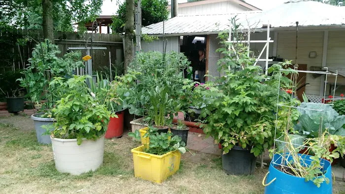 Oaks Mobile & RV Park Picture 1