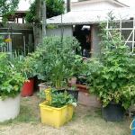 Oaks Mobile & RV Park