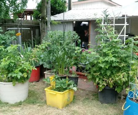 Oaks Mobile & RV Park