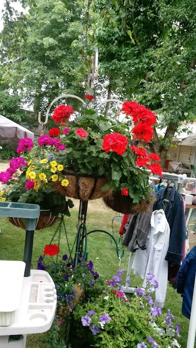 Oaks Mobile & RV Park Picture 3