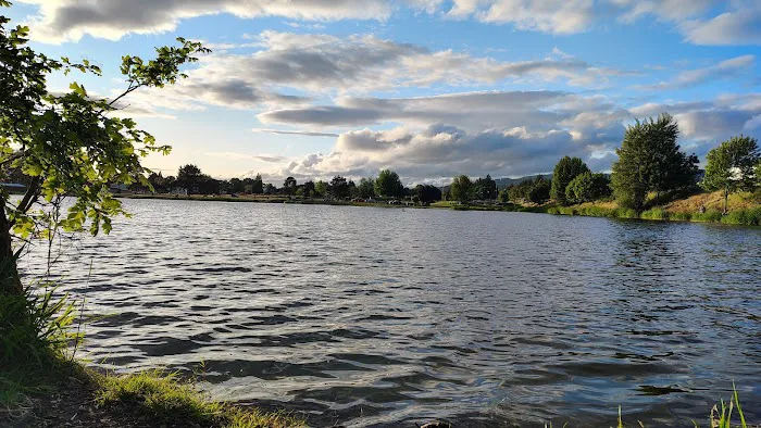 Oaks Mobile & RV Park Picture 7