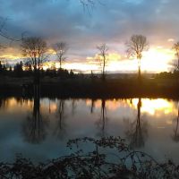 Woodland MHC, LLC ico